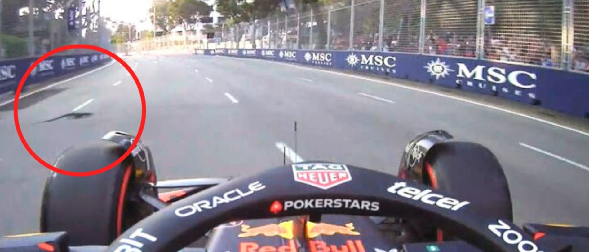 F1 2023 Singapore Grand Prix practice, lizards on the track, lizard is run over, reaction, video