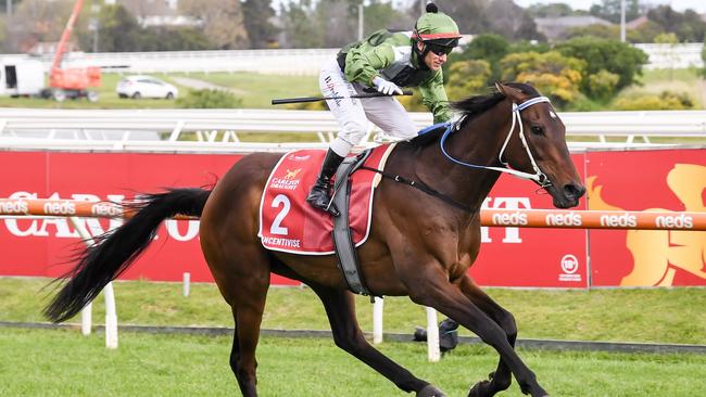 Incentivise is a hot favourite to take out the Melbourne Cup. Picture: Getty Images