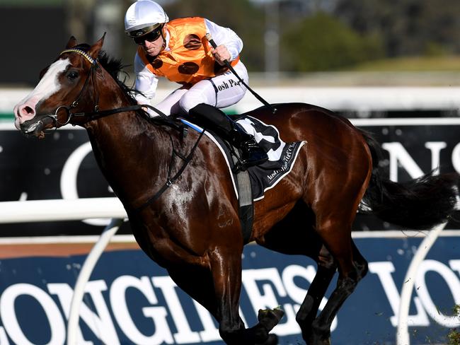 Menari is out for the spring. Picture: AAP Images