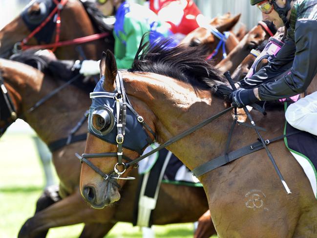 Neurum Road jumps out of the gates in the Higer Bus & Coach Handicap 1700m at the Bundamba Race track on Friday, December 14.Photo: Claudia Baxter / The Queensland Times