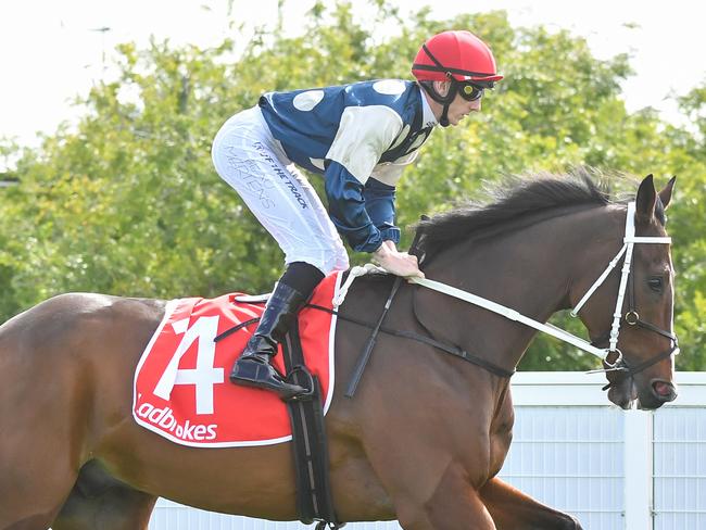 Ron Dufficy is keen to back Birdman in the final race on the card at Royal Randwick on Saturday. Picture: Pat Scala / Racing Photos