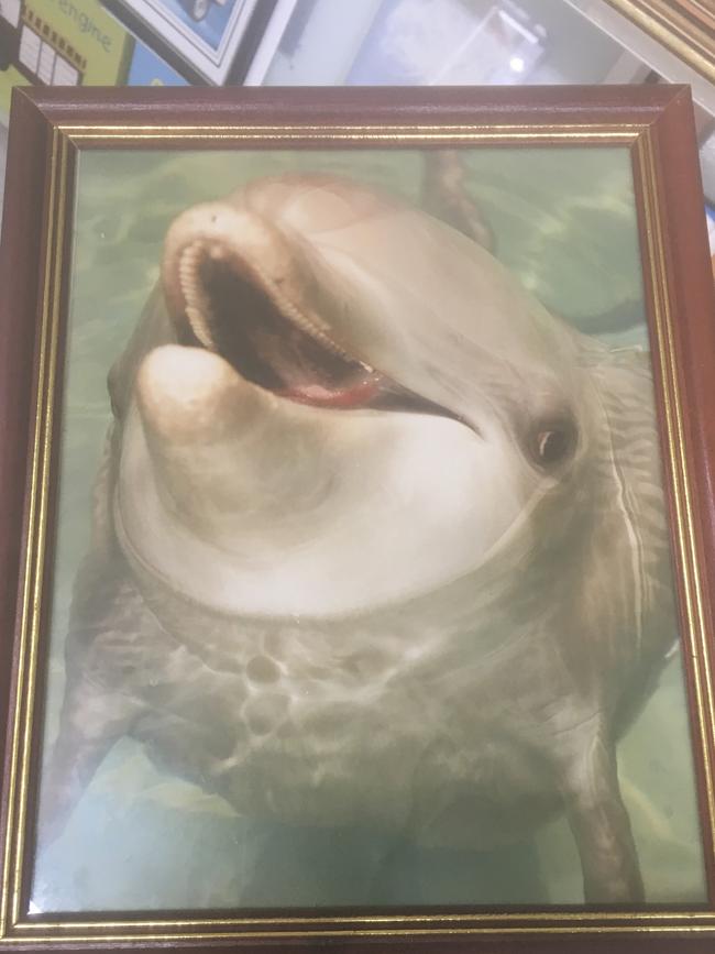 A creepy dolphin painting at Savers.