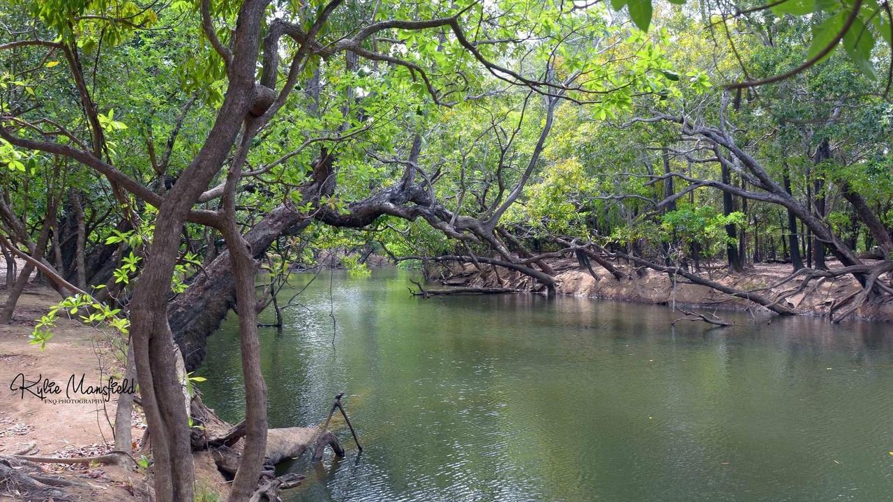 Claims of man-eater crocodile on the loose at Cape York | The Cairns Post