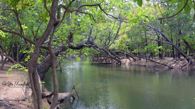 Kennedy Bend camping area in Lakefield National Park, 340km north west of Cairns. Picture: Kylie Mansfield