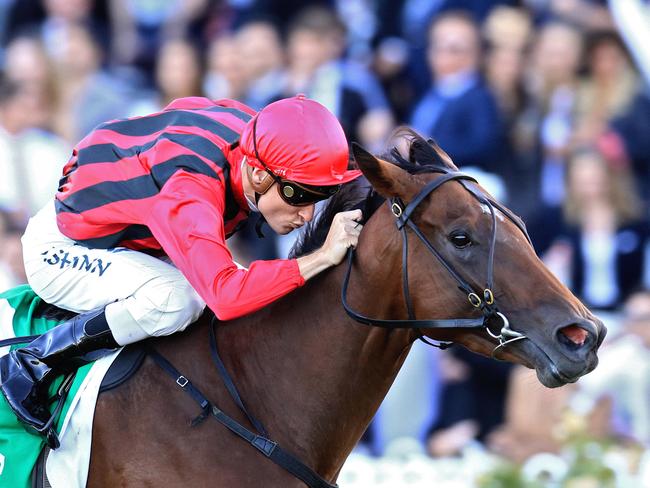 Sultry Feeling ridden by Blake Shinn wins race 9 during the races at Rosehill Gardens on Golden Slipper day. Pic Jenny Evans