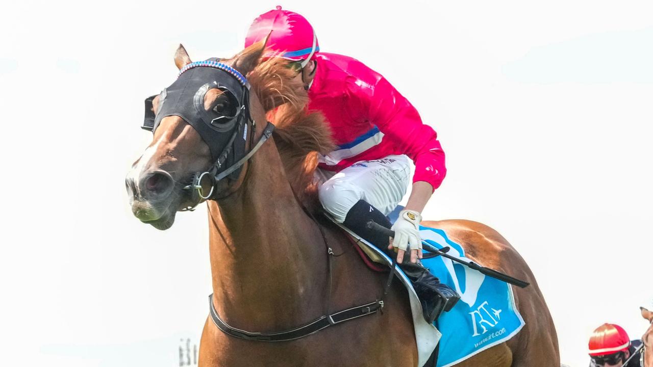 Trainer Glen Thompson believes Benagil is still the horse to beat in the Group 1 Queensland Oaks. Picture: Racing Photos via Getty Images