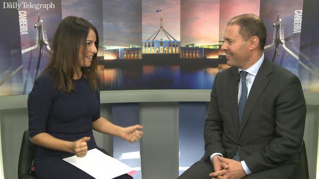 Sharri Markson speaks to Josh Frydenberg about the clean energy target 