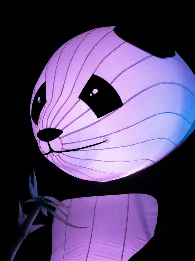 The Zoo's Light Creatures show, as part of Illuminate Adelaide, has been cancelled for two days due to severe weather. Pictures: Zoos SA