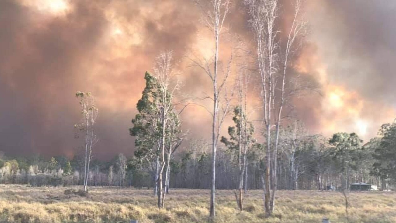 165 recommendations to prevent bushfire disasters | Daily Telegraph