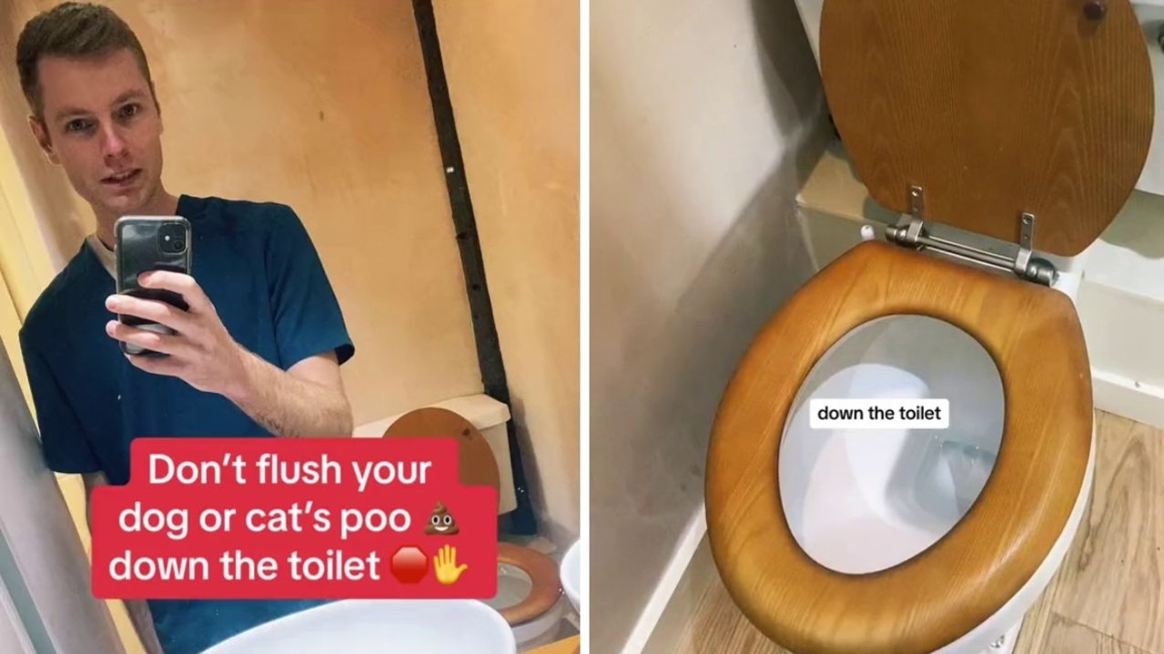 Vet explains risks of flushing cat or dog poop down the toilet news Australia s leading news site