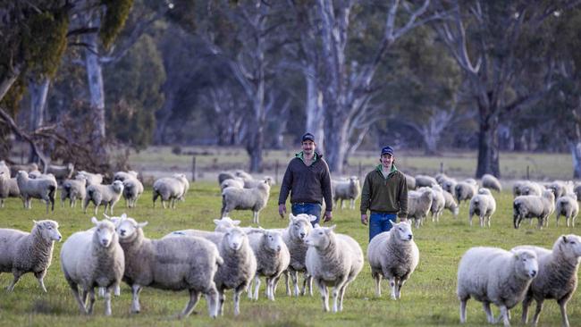 Hamish Ellis with his farm worker Tyler Hately on the Harrow property. Picture: Nicole Cleary