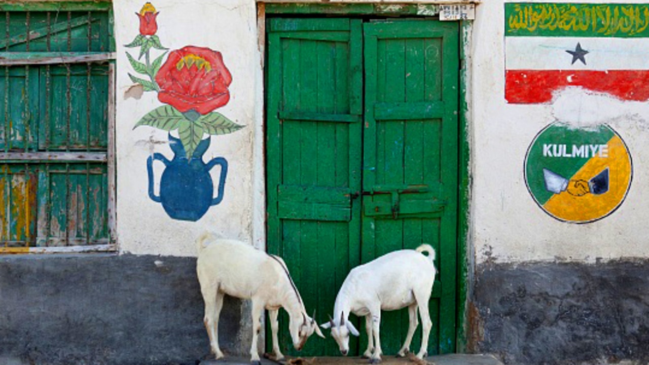 Election signs on walls in Somaliland. Picture: Eric Lafforgue/Gamma-Rapho via Getty Images