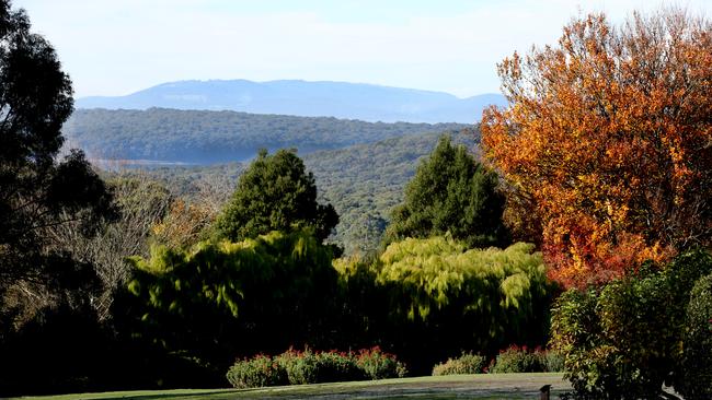 Here are some of the best walks in the Yarra Ranges. Picture: Stuart Milligan