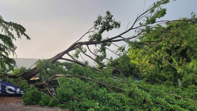 Fences along Marlin Coast Rangers' home ground in Trinity Beach have sustained significant damage following the storm.