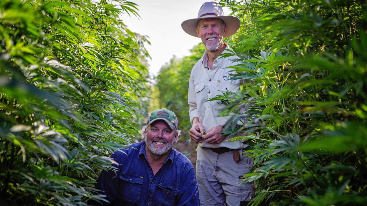 Hemp farmer Steve Moulton and Mick Anderson, MD of Good Country Hemp. Picture: Jacqui Bateman