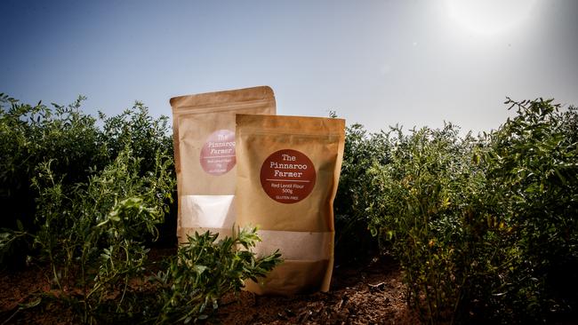 Launched during the pandemic, The Pinnaroo Farmer gluten-free red lentil flour is available online for direct delivery and also sells through the Pinnaroo bakery and a wholefoods shop in Adelaide. Picture: Matt Turner.