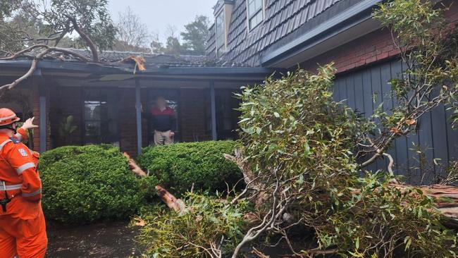 The force of the winds caused a small tree to fall on a house in Southwest Victoria. Picture: SES