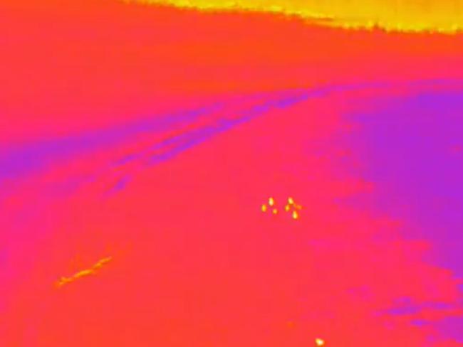 Thermal-imaging drone detecting wildlife across firegrounds Credit: Douglas Thron/ Instagram: douglasthron