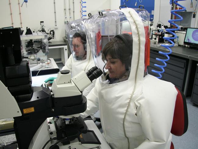 Scientists at the Australian Animal Health Laboratory.