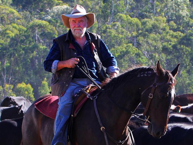 High country cattleman Charlie Lovick brings a small herd of cattle into Wonnangatta station in the Victorian high country.
