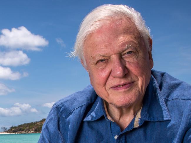 Sir David Attenborough returning to do a documentary on the Great Barrier Reef - 60 years after his first visit. Picture: Tourism Australia