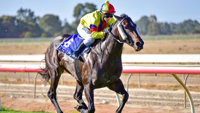 Mikaela Claridge was killed when she fell during trackwork at Cranbourne Racecourse on Friday morning. Picture: Getty Images