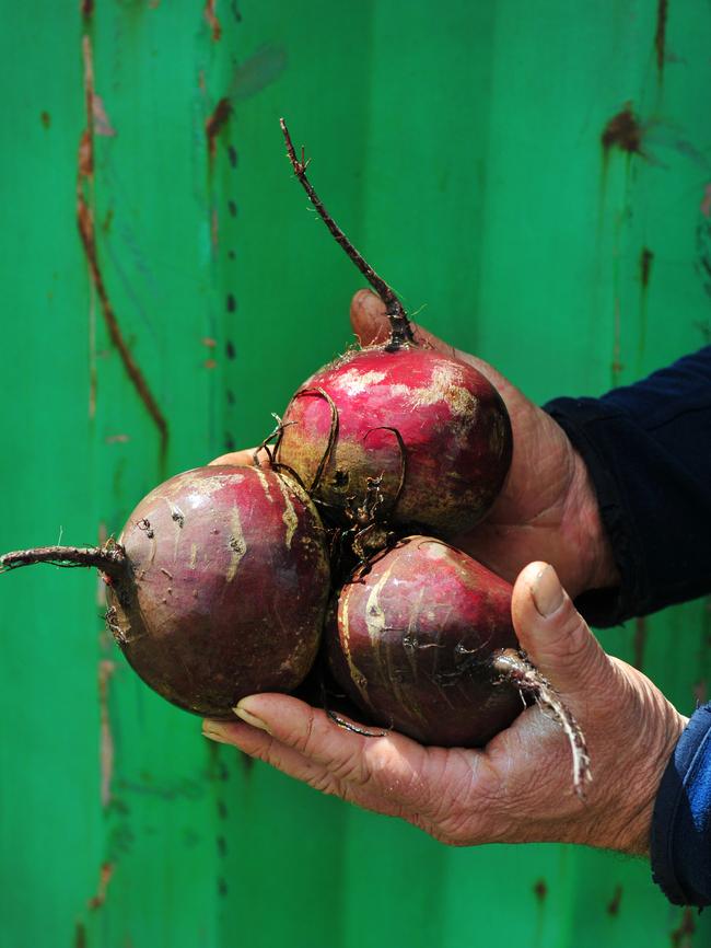 Beetroots.