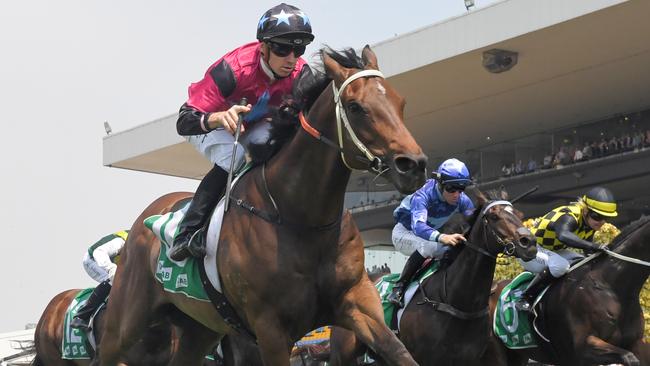 Plonka will be hard to beat at Grafton. Picture: AAP