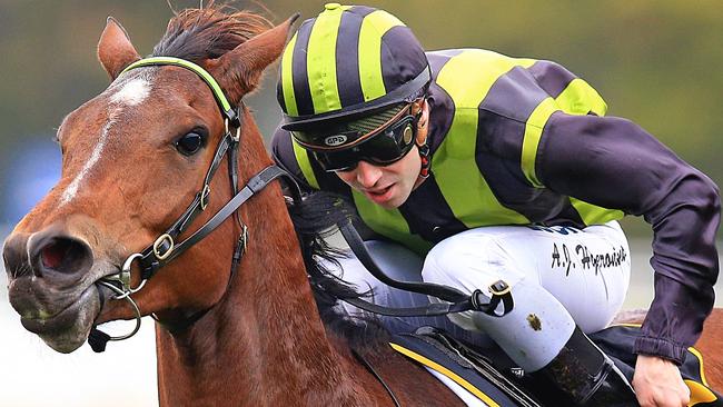 Reiby Rampart looks good each-way value at Randwick on Saturday. Picture: Jenny Evans