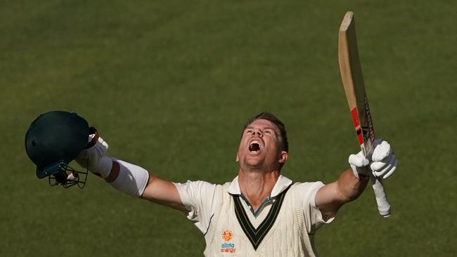 David Warner celebrates after reaching his triple century. Picture: AAP