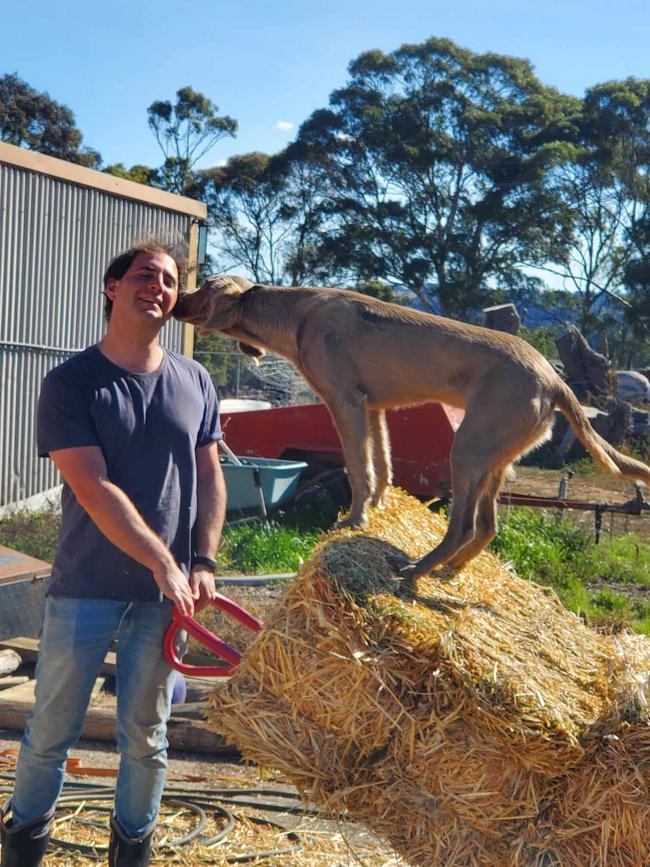 Adelaide Hills farmer James Gilbert has warned others about hay scams targeting 