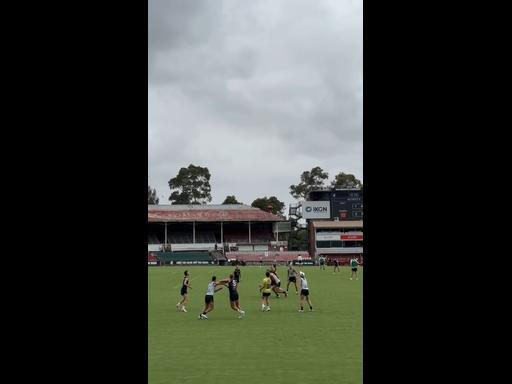 Blues return to IKON Park for Open Training