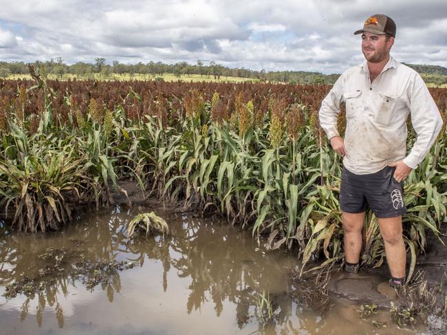 Carpendale farmer Joe Kluck with a sorghum crop damaged from flood waters in February. Picture: Nev Madsen