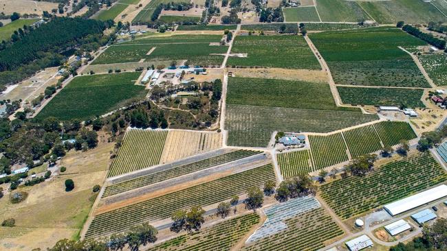 This home at 234 Moritz Road, Blewitt Springs and its surrounding vineyards sold for $2.05 million in February. Picture: realestate.com.au