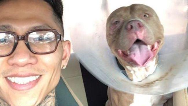 Man Has Tearful Reunion With Dog 3 Months After He Was Kidnapped