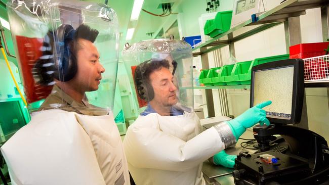 Scientists working in a quarantined laboratory at the Peter Doherty Institute for Infection and Immunity in Melbourne.