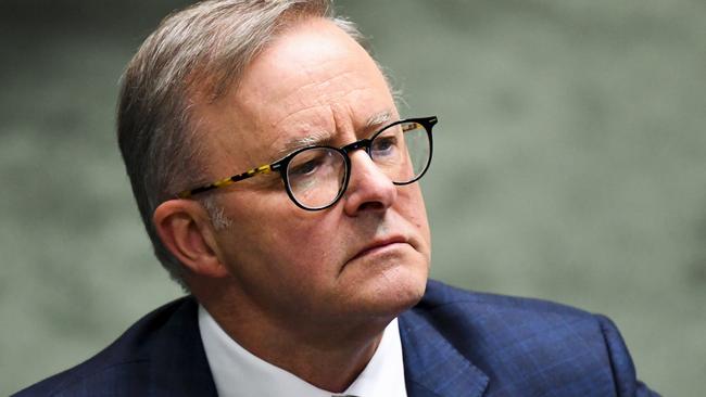 Is Australian Opposition Leader Anthony Albanese ‘a blank canvas’? Picture: Lukas Coch