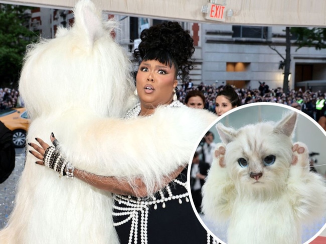 Lizzo caught in weird Met Gala moment.