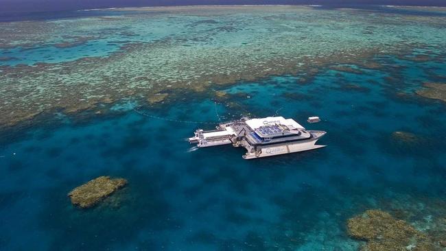 Quicksilver Cruises' activity platform on Agincourt Reef. INSET: See maori wrasse and spectacular corals while snorkelling. Picture: Gavin Hardy - Decoy Design