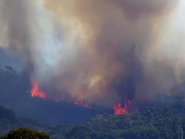 Firefighters were working to protect property around Red Hill Reserve. Source: Facebook/Northern Beaches Living/Michael Gleeson