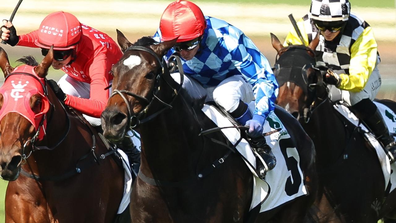 Rocks or Diamonds? Classy mare tests Pfieffer’s patience