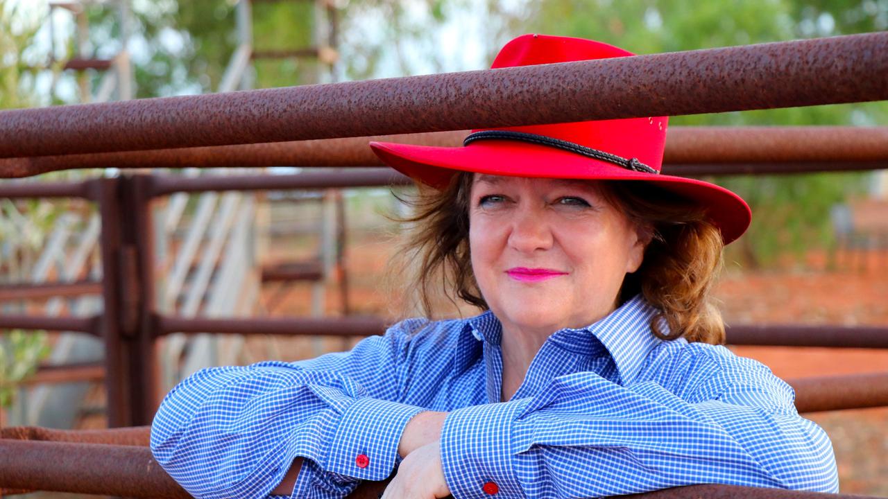 Billionaire Gina Rinehart’s Hancock Prospecting is a 7.5 per cent stakeholder in Vulcan.