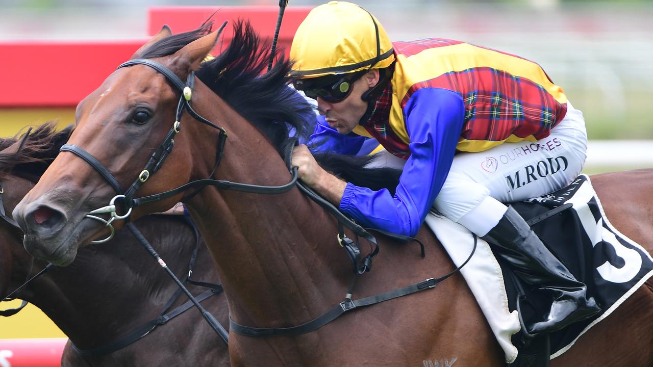 Idyllic Affair could be set for some Sydney Group 1s in the autumn after breaking her maiden at Doomben on Saturday. Picture: Natasha Wood/Trackside Photography