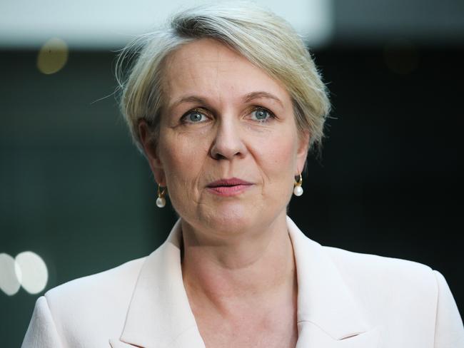 Tanya Plibersek appeared to blow up her own legislation earlier in the week. Picture: Gaye Gerard