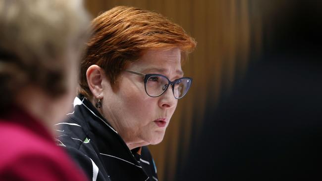 Womens’ Minister Marise Payne has been MIA. Picture: NCA NewsWire / Gary Ramage