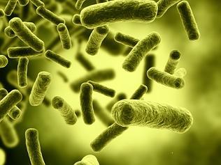 Bacteria cells tricked into storing data 