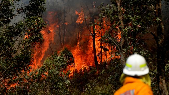 Parts of the Blue Mountains and Lithgow area were impacted by the fires, but the community has risen from the ashes to recover. Picture: Jeremy Piper