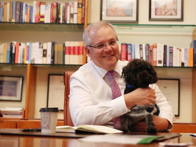 Buddy visits Prime Minister Scott Morrison at the office. Picture: Adam Taylor/Office of the Prime Minister