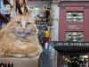 Revealed: Melbourne’s quirkiest bookstores