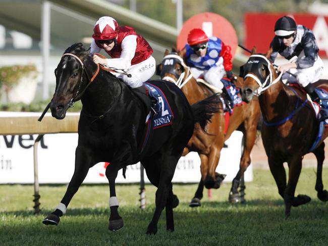 Horseracing - racehorse 'Denman' ridden by jockey Kerrin McEvoy wins race 6 at the Rosehill Races.